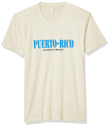 Marky G Apparel Men's Puerto Rico Graphic Printed Premium Tops Fitted Sueded Short Sleeve V-Neck T-Shirt - Clementine Apparel