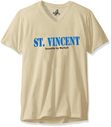 Marky G Apparel Men's Vincent Graphic Printed Premium Tops Fitted Sueded Short Sleeve V-Neck T-Shirt - Clementine Apparel